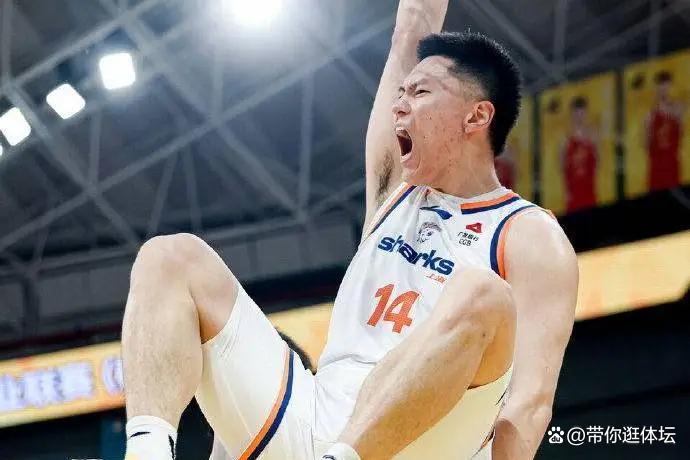 开云体育官网-“国产锡安”化身篮板狂人李弘权从综艺红人到总决赛奇兵